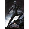 Close Up Poster Black Panther - Stance (61cm x 91,5cm)