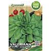 SGARAVATTI VALERIANA D'OLANDA SEME GROSSO UNI PACK