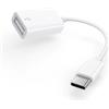Thecoopidea [Apple MFi Certificato]Adattatore USBC OTG per iPhone,USB 3.0 Cavo Adattatore Compatibile con iPhone 15 Series/Samsung Galaxy Series/iPad,Supporta disco USB,Tastiera,Mouse,Lettore di schede, HUBS,MIDI