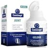 Canosept compresse per articolazioni cane - Joint Care Cani - Formula unica: con cozze dalle labbra verdi, glucosamina, Omega 3 - protezione delle articolazioni - condroprotettori cane - 80 compresse