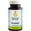 MAHARISHI AYURVEDA PULMOMAP 60CPR