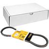 CONTITECH AVX13X850 Cinghia trapezoidale