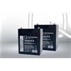 Quality Batteries Batteria di ricambio per il sistema UPS Best Power Fortress I LI 360VA