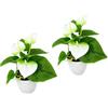 Flair Flower - Set di 2 Mini anthurie in Vaso, Altezza 20 cm, Larghezza 16 cm, Bianco, 20 cm Hoch, 16 cm breit