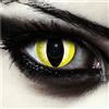 DESIGNLENSES, Lenti a contatto colorate gialle, occhi di gatto per costume di Halloween, senza gradazione, 1 paio (2 pezzi), lentes colore + custodia per lenti Yellow Dragon