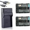 DSTE NP-FM50 Li-ION Batteria (2 Pack) e caricatore USB Costume compatibile per Sony NP-FM30, NP-FM50, NP-FM51, NP-QM50, NP-QM51, NP-FM55H