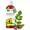 MoriVeda® Moringa Basic Oil 100ml, spremuto dai semi e dai baccelli dell'oleifera, per pelle, capelli, ferite, olio di behen anti-età (1x100ml)