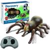 Discovery Kids Discovery IR Tarantola radiocomandata, RC, animale realistico, giocattoli per bambini 8 anni, infrarossi, radiocomandato (World Brands 6000376)