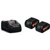 FEIN Starter set di batterie ProCORE 18 V 5.0 Ah AS|2 batterie ioni di litio con celle HighPower con caricabatteria rapido GAL 1880 CV. Per batterie con presa da 18 V AMPShare o Bosch Professional.