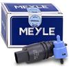 Meyle 100 955 0010 Pompa acqua lavaggio, Pulizia cristalli
