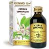 Dr Giorgini Integratore Alimentare, Limone Gemmoderivato Concentrato Liquido Analcoolico - 100 ml