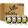 Sheba Selezione Assortita Mix di Vaschette al Gusto di Salmone, Pollo e Pollame, Cibo Umido per Gatti Adulti, 88 Vaschette Miste da 85 g