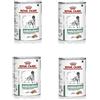 Petgnam 12 Latine da 410g Royal Canin Diabetic Special Cibo Umido per Cani