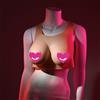 Gender X Undergarments Plate D-Cup Light