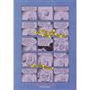 Coconino Press The little man. Storie brevi, 1980-1995
