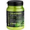 Watt CREATINA+ POLVERE EXTRAGOLD 350 G