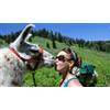 Trekking con alpaca oppure lama a Rueglio (Torino)