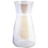 CiciIng Vaso per fiori in vetro trasparente, alto 20 cm, per decorazione da tavolo, vaso decorativo per erba della pampa, tulipani, orchidee, rose, fiori secchi (colorato)