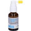 NAMED Dekoro Spray + 20 ml