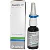 CHIESI FARMACEUTICI SpA Rinoclenil Spray 100mcg 200 Erogazioni