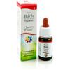 guna Cherry Plum Gocce 10ml