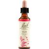 schwabe pharma italia Bach 11 Elm Gocce 20ml Lkr