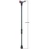 farmacare Bastone impugn.palm.dx f/c