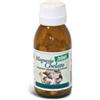 Magnesio Chelato Compresse Stv