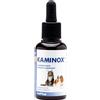 Kaminox Sciroppo 60Ml