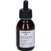 oti Propolis t.m.100ml oti