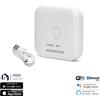 Aigostar Hub di controllo Bluetooth Mesh Smart WiFi per dispositivi intelligenti Aigostar