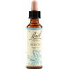 Bach 3 Beech Gocce 20ml Lkr