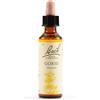 schwabe pharma italia Gorse bach orig 13 20ml