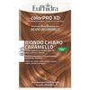 Euphidra colorpro xd835 avana