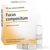 Guna Fucus Compositum 10 Fiale Da 2,2ml