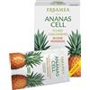 Erbamea Ananas Cell Fluido Concentrato 15 Bustine