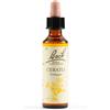 schwabe pharma italia Cerato bach orig 20 ml