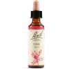 schwabe pharma italia Oak bach orig 20 ml