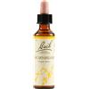 schwabe pharma italia Hornbeam bach orig 20 ml