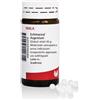 wala italia Echinacea argentum 20g gl wala