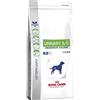 Royal Canin C-111647 Modo urinario Dieta UCM20-6,5 kg