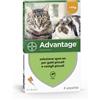 Advantage 40 mg Soluzione Antiparassitaria Spot-on Gatti e Conigli 4 Pipette