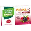 Tantum Verde Natura Frutti di Bosco Integratore Mal di Gola 15 Pastiglie
