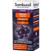Named Sambucol Liquido Da Bere 120 ml