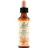 Red Chestnut Bach Orig 20Ml 20 ml Gocce orali