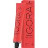 Schwarzkopf Professional Tinte per capelli Igora Royal BoosterPermanent Color Cream 0-77 concentrato rame