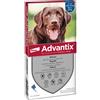 ELANCO ADVANTIX 25-40 Kg - 4 pipette - Antiparassitario per cani