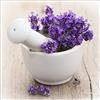 Pro-Art-Bilderpalette PRO-Art gla730b - Quadro da Parete su Vetro Lovely Lavender III, 50 x 50 cm