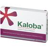 schwabe pharma italia Kaloba 20 mg Contro Raffreddore Comune 21 Compresse