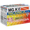 POOL PHARMA Srl MGK VIS RICARICA PLUS 14 BUSTINE + 14 BUSTINE